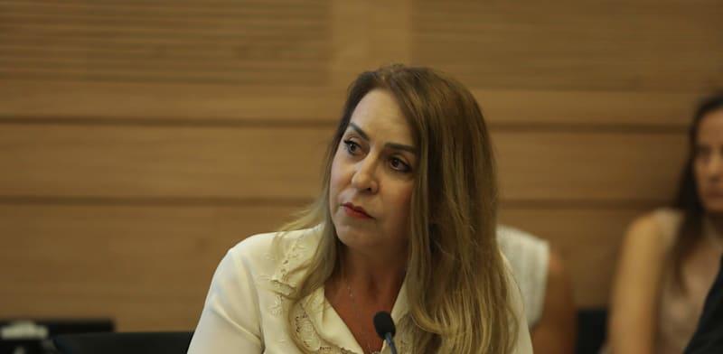 עו"ד אורלי עדס, מנכ''לית ועדת הבחירות המרכזית / צילום: דוברות הכנסת