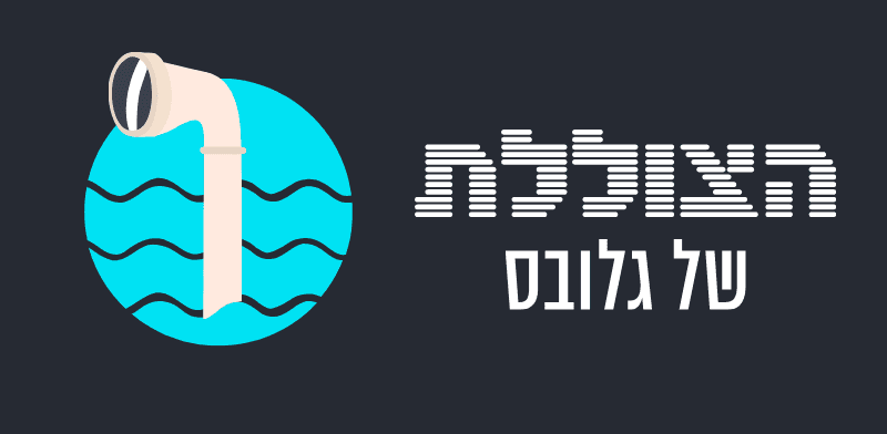  צילום: