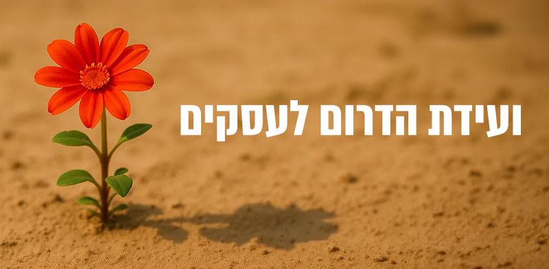  צילום: