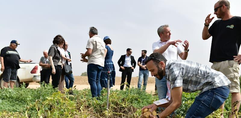 סיור בהובלת עובדי שטראוס ובליווי חקלאים, עובדים, מנהלים ותושבי האזור, מתפוח האדמה שבשדה, ודרך כל שלבי הייצור של מפעל התפוצ'יפס של שטראוס בשער הנגב / צילום: יוסי כהן