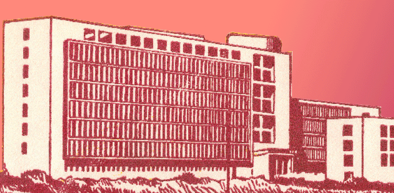  צילום: ה האדירה של ההסתדרות / איור: גיל ג'יבלי