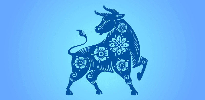 5 הערות על השנה ששברה את כל השיאים בשוק הגמל / צילום: Shutterstock