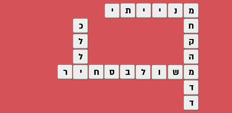  צילום: : טלי בוגדנובסקי