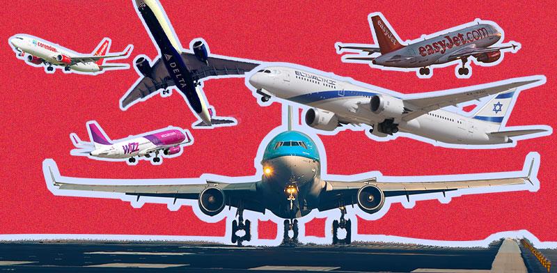  צילום: טרציה: טלי בוגדנובסקי; צילומים: דני שדה, Shutterstock