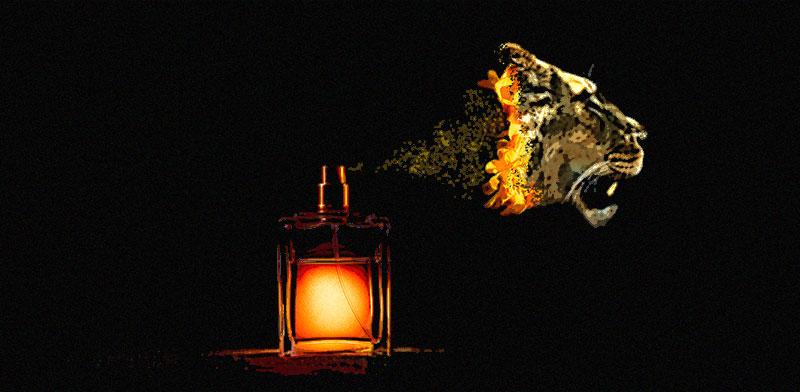  צילום: טרציה: טלי בוגדנובסקי, צילומים: Shutterstock