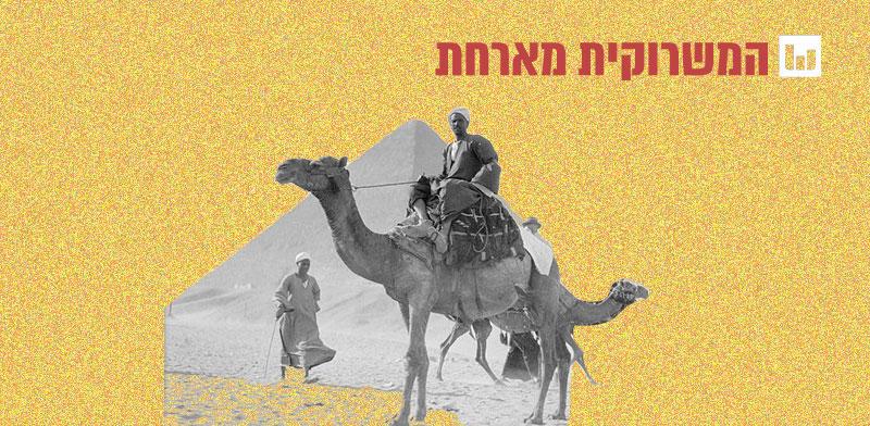 גמלים בגיזה / צילום: אוסף מטסון, ספריית הקונגרס