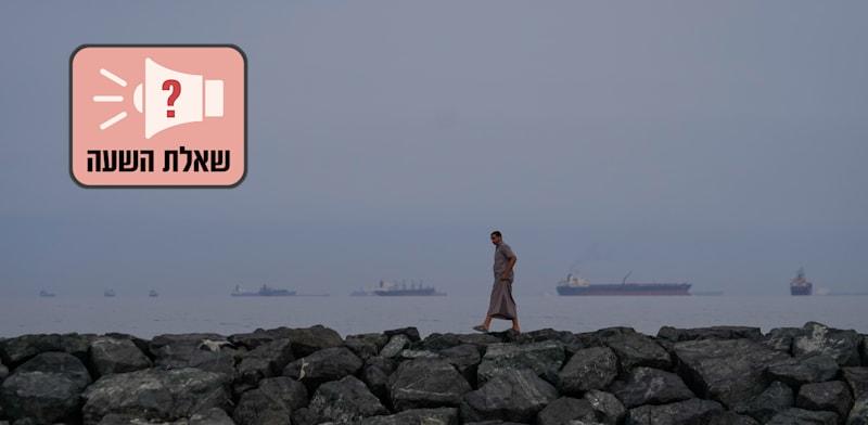 מכליות נפט מחכות מחוץ למצר הורמוז / צילום: ap, Altaf Qadri מכליות נפט מחכות מחוץ למצר הורמוז / צילום: ap, Altaf Qadri