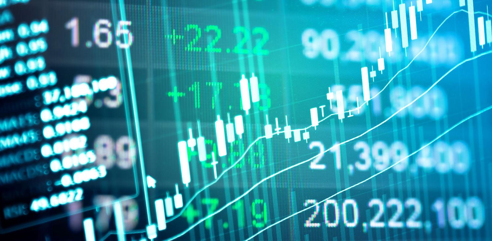 צילום: טרציה: shutterstock צילום: טרציה: shutterstock