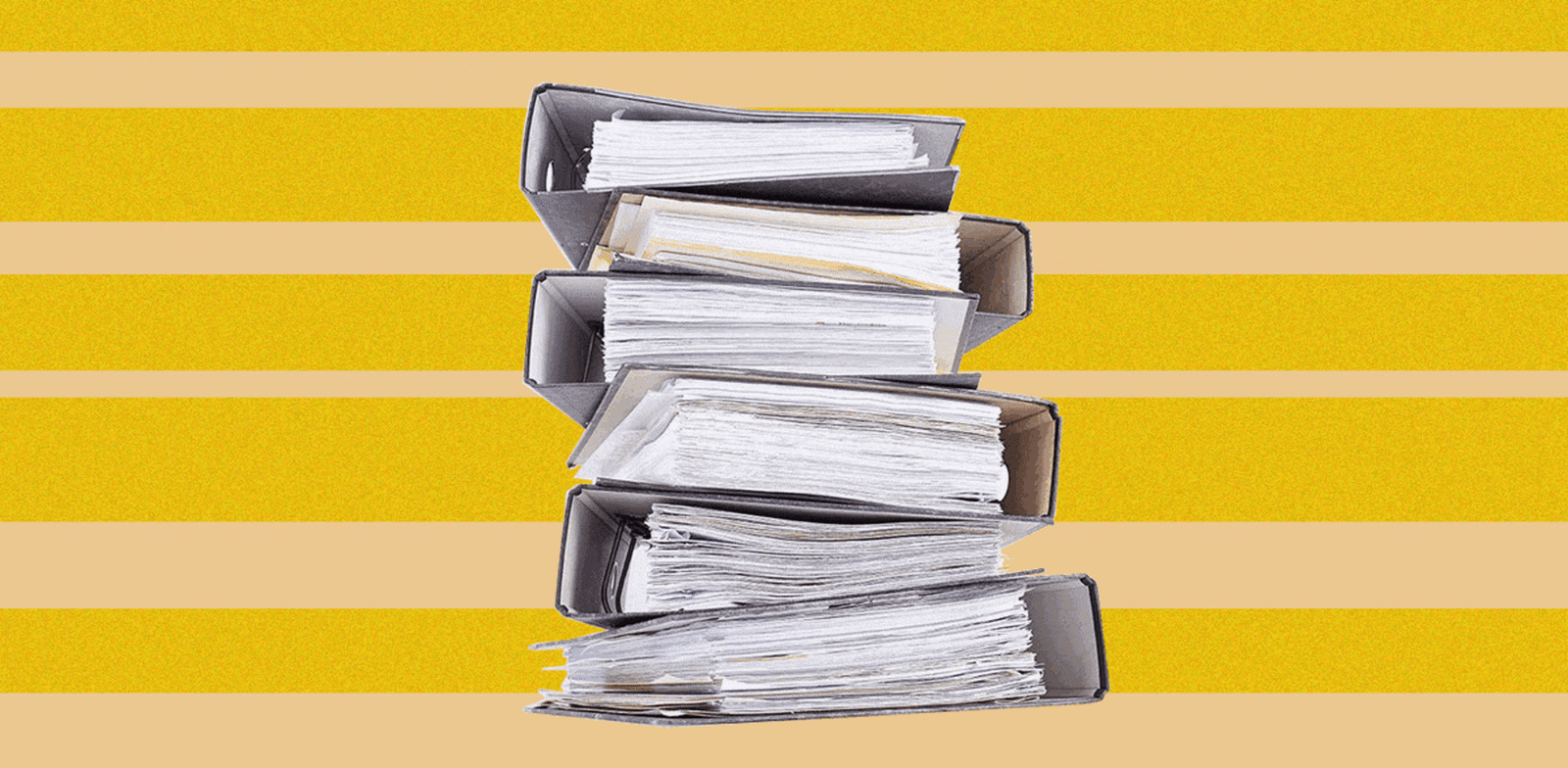 צילום: ההתמחות בעריכת דין / אילוסטרציה: טלי בוגדנובסקי צילום: ההתמחות בעריכת דין / אילוסטרציה: טלי בוגדנובסקי