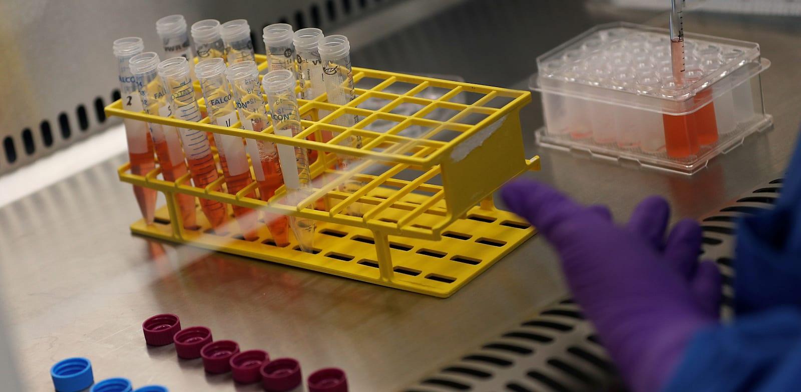 מעבדת חקר תאי גזע בארה''ב / צילום: Reuters, PETER NICHOLLS מעבדת חקר תאי גזע בארה''ב / צילום: Reuters, PETER NICHOLLS