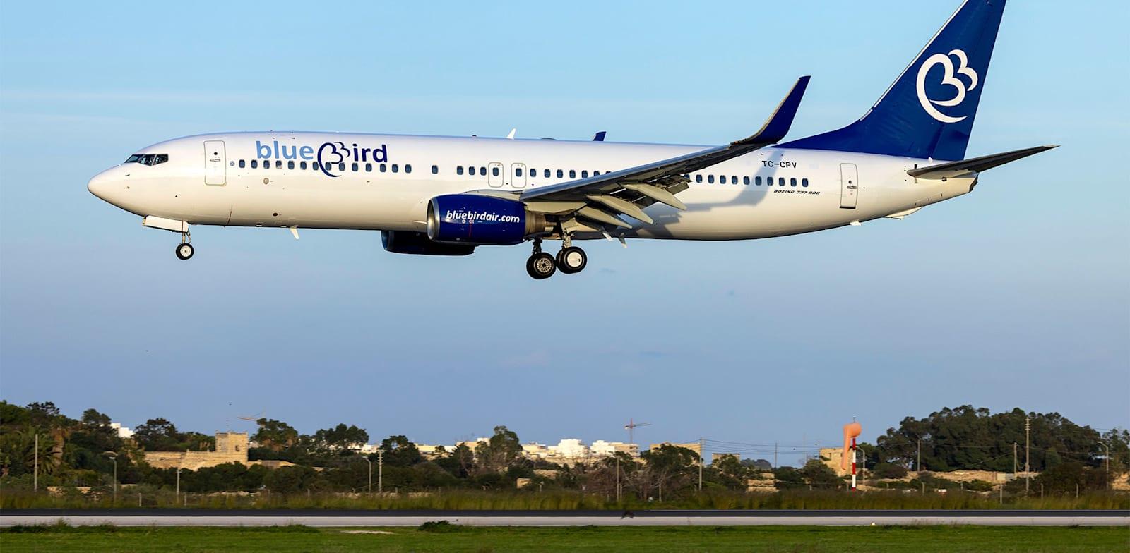 מטוס של bluebird airways / צילום: Shutterstock מטוס של bluebird airways / צילום: Shutterstock