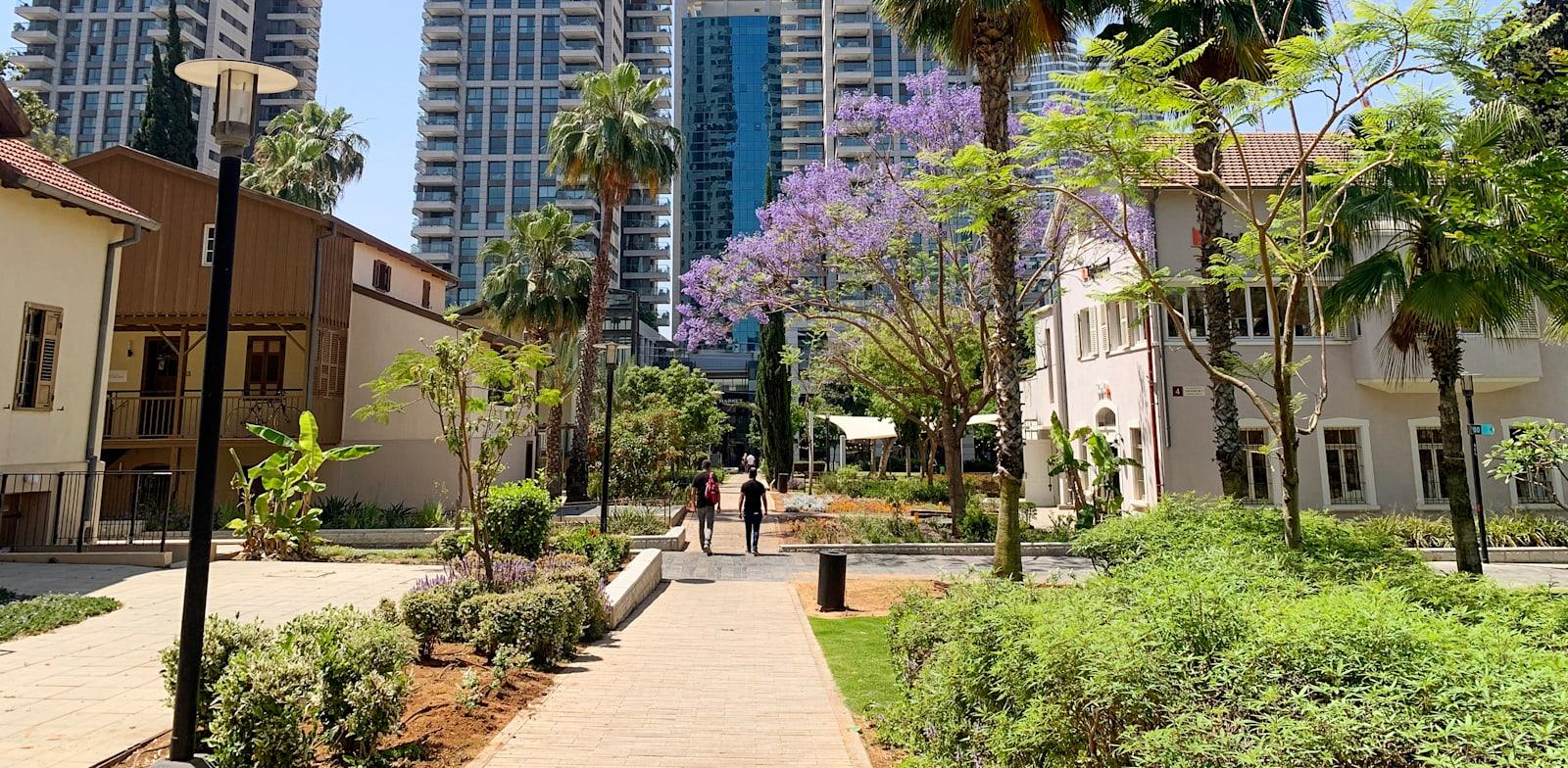 מגדלי שרונה, תל אביב / צילום: Shutterstock מגדלי שרונה, תל אביב / צילום: Shutterstock