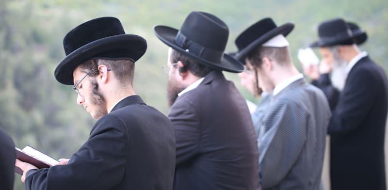 שיעור החרדים באוכלוסייה / צילום: Shutterstock, David Cohen 156 שיעור החרדים באוכלוסייה / צילום: Shutterstock, David Cohen 156