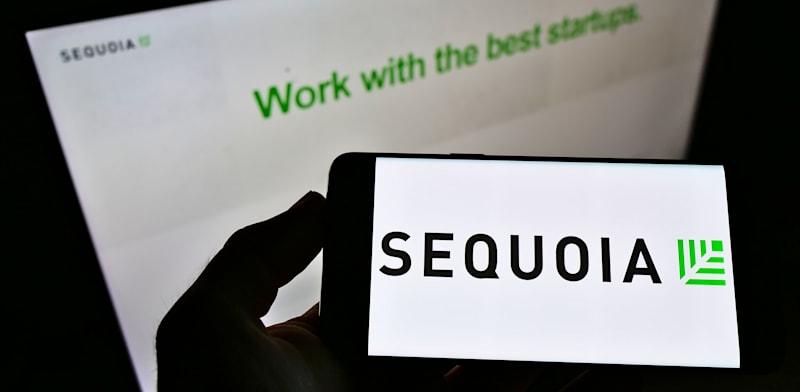 סקויה / צילום: Shutterstock, T. Schneider סקויה / צילום: Shutterstock, T. Schneider