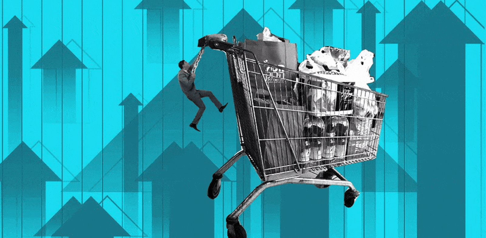 צילום: מחירי המזון ממשיכות / אילוסטרציה: טלי בוגדנובסקי צילום: מחירי המזון ממשיכות / אילוסטרציה: טלי בוגדנובסקי