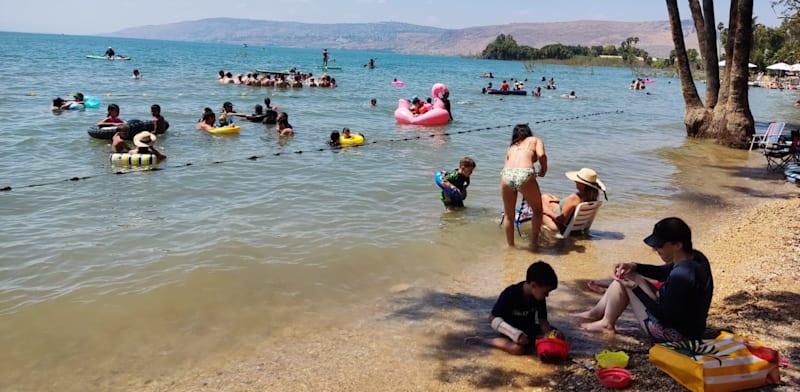 נופשים בכנרת / צילום: טלי בר-איגוד ערים כנרת נופשים בכנרת / צילום: טלי בר-איגוד ערים כנרת