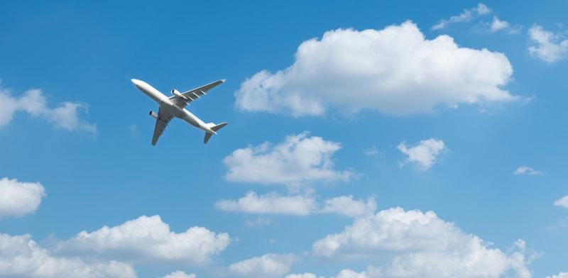 צילום: טרציה: Shutterstock צילום: טרציה: Shutterstock