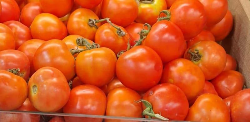 עגבניות בסופר / צילום: מיכאל שירן עגבניות בסופר / צילום: מיכאל שירן