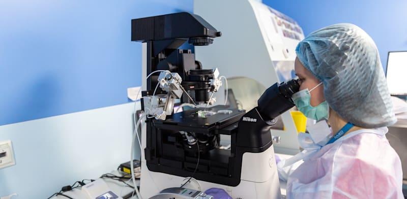 מעבדת הפריה חוץ־גופית בקייב. רוב הביציות בשוק הישראלי הגיעו מאוקראינה, עד המלחמה / צילום: Reuters, Dominika Zarzycka מעבדת הפריה חוץ־גופית בקייב. רוב הביציות בשוק הישראלי הגיעו מאוקראינה, עד המלחמה / צילום: Reuters, Dominika Zarzycka