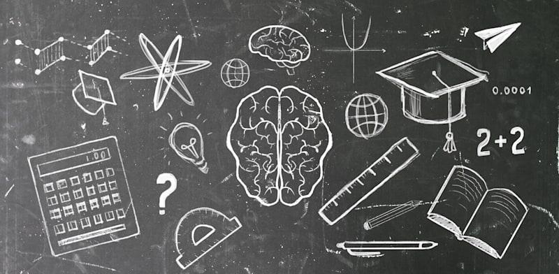 צילום: טרציה: Shutterstock צילום: טרציה: Shutterstock