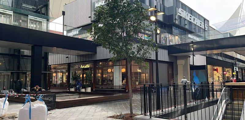 ביג פאשן גלילות / צילום: דרור מרמור ביג פאשן גלילות / צילום: דרור מרמור