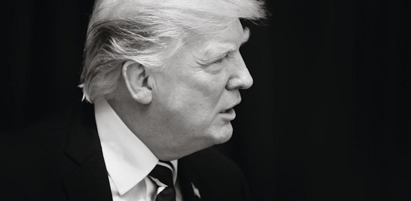 דונלד טראמפ / צילום: Shutterstock דונלד טראמפ / צילום: Shutterstock