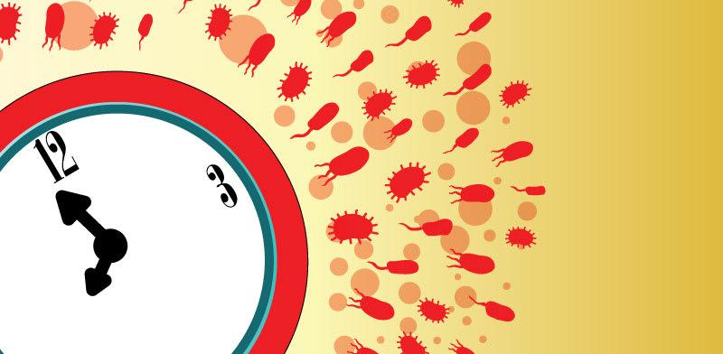 צילום: Shutterstock צילום: Shutterstock