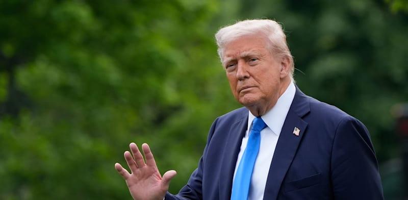 דונלד טראמפ, נשיא ארה''ב / צילום: ap, Alex Brandon דונלד טראמפ, נשיא ארה''ב / צילום: ap, Alex Brandon