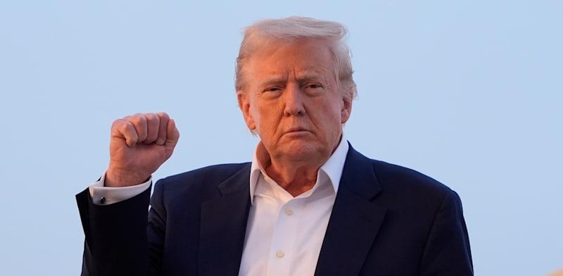 דונלד טראמפ / צילום: ap, Manuel Balce Ceneta דונלד טראמפ / צילום: ap, Manuel Balce Ceneta