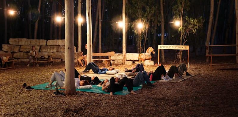 יער האפשרויות / צילום: אנה בורשטיין יער האפשרויות / צילום: אנה בורשטיין