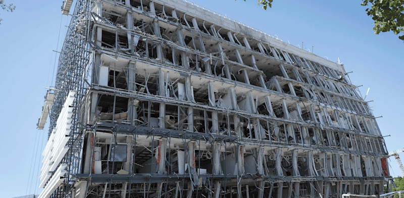 מאמצי השיקום של מכון ויצמן / צילום: כפיר זיו מאמצי השיקום של מכון ויצמן / צילום: כפיר זיו