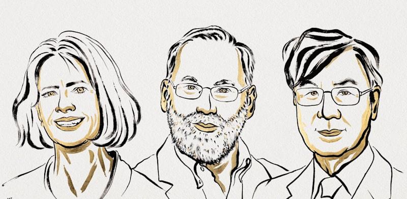 זוכי פרס נובל לרפואה: שימון סאקאגוצ'י, פרד רמסדל ומרי ברונקו / צילום: Ill. Niklas Elmehed, Nobel Prize Outreach זוכי פרס נובל לרפואה: שימון סאקאגוצ'י, פרד רמסדל ומרי ברונקו / צילום: Ill. Niklas Elmehed, Nobel Prize Outreach