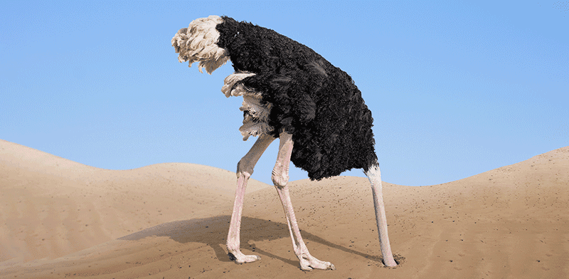 בחזית המדע. FOFO / צילום: Shutterstock בחזית המדע. FOFO / צילום: Shutterstock