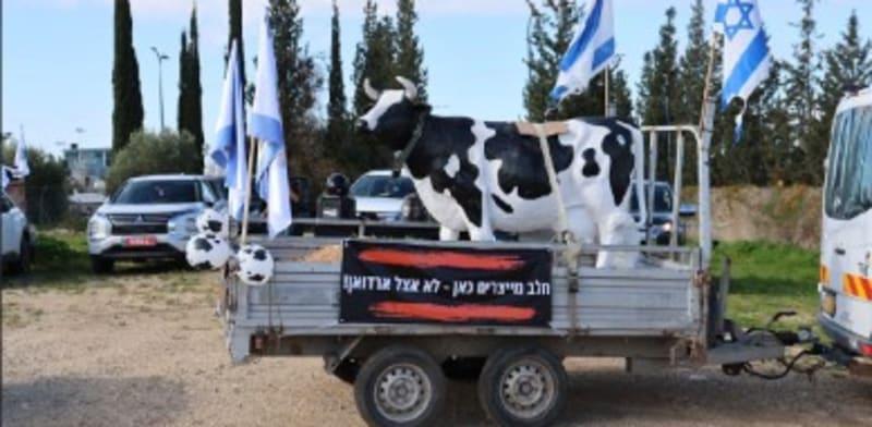 הפגנת הרפתנים והחקלאים, הבוקר / צילום: יריב דגן הפגנת הרפתנים והחקלאים, הבוקר / צילום: יריב דגן