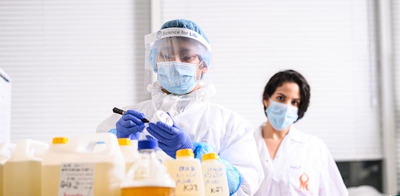 חוקרים במעבדה של פרופ' אריאל קושמרו, אוניברסיטת בן גוריון / צילום: דני מכליס חוקרים במעבדה של פרופ' אריאל קושמרו, אוניברסיטת בן גוריון / צילום: דני מכליס