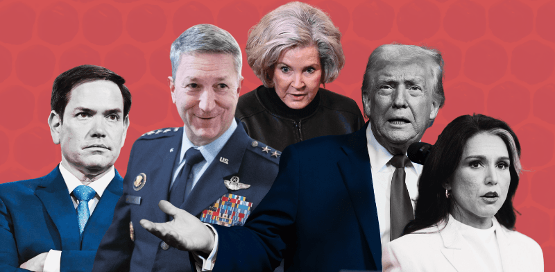 הכוורת של טראמפ במלחמה / צילום: AP הכוורת של טראמפ במלחמה / צילום: AP